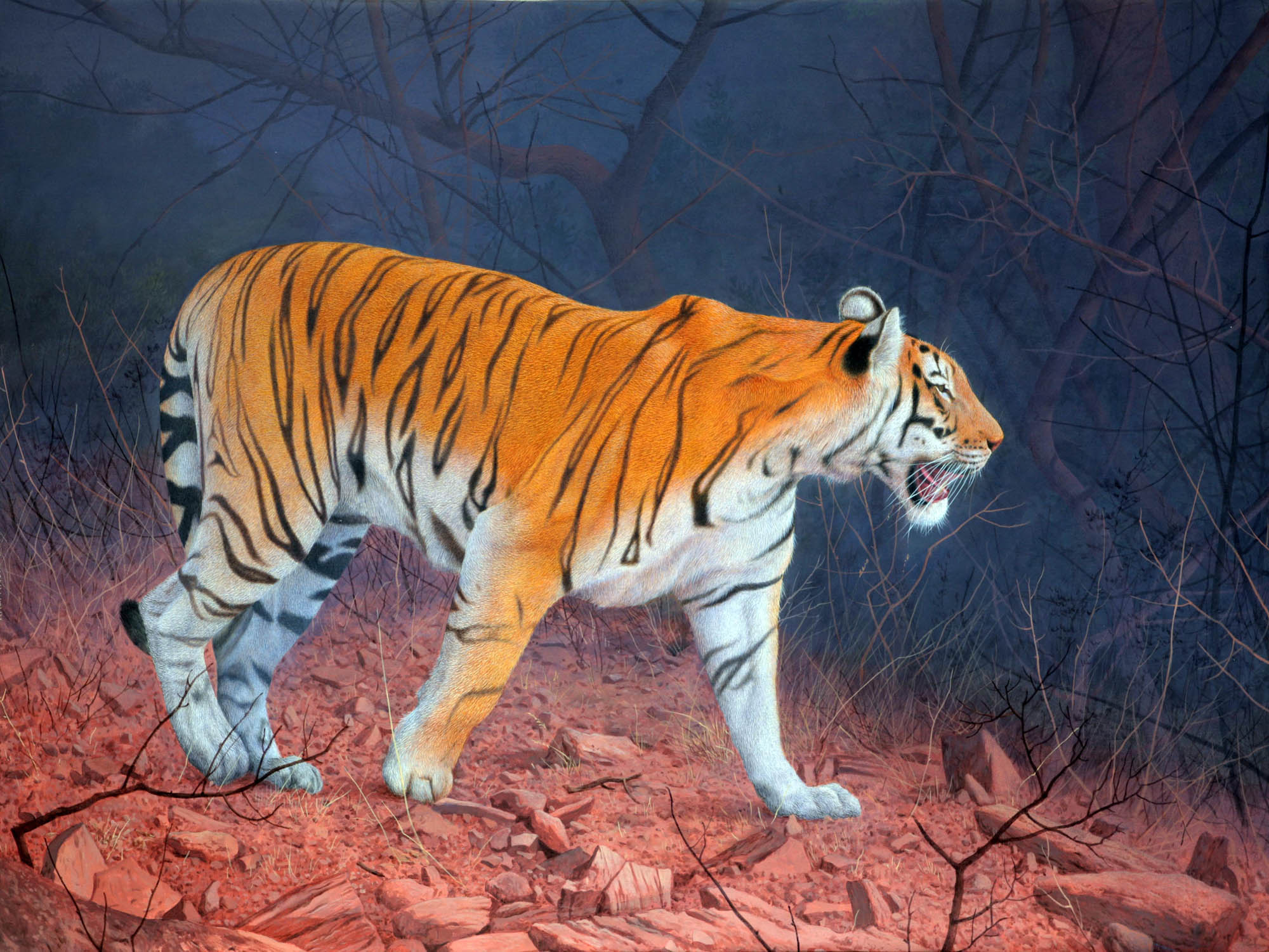 Animal